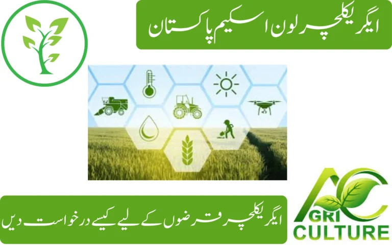 agriculture loan scheme pakistan how to get government loan in 2025.....