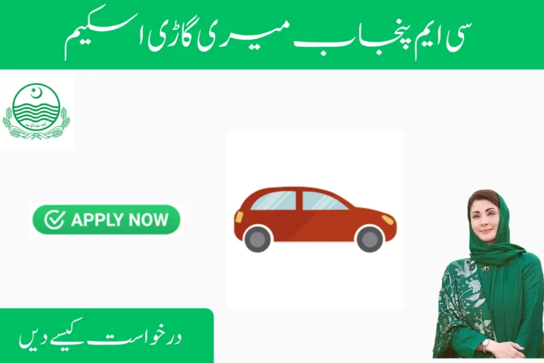 How to Apply Online for CM Punjab Meri Gari Scheme 2025 how to apply online for cm punjab meri gari scheme