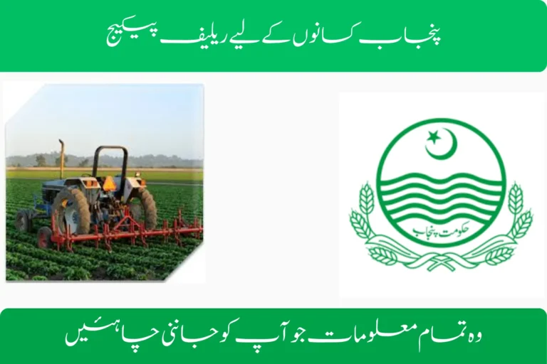 Punjab Relief Package for Farmers : Everything You Need to Know punjab relief package for farmers everything you need to know