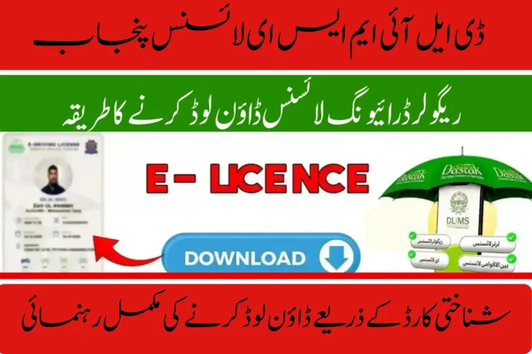 dlims e license punjab complete guide to download using cnic