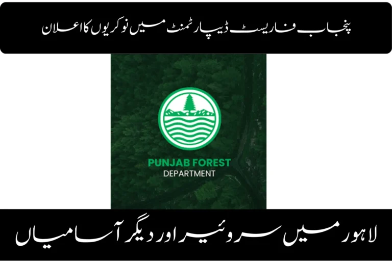 punjab forest department jobs announced surveyor other vacancies in lahore