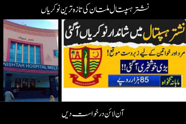Latest Nishtar Hospital Multan Jobs 2026 : Apply Online ویمن ایمپاورمنٹ اسکیم پاکستان