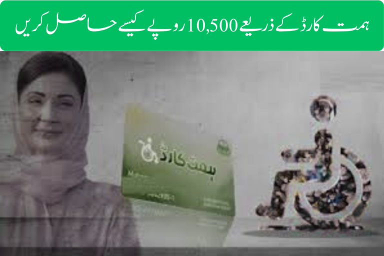 ویمن ایمپاورمنٹ اسکیم پاکستان