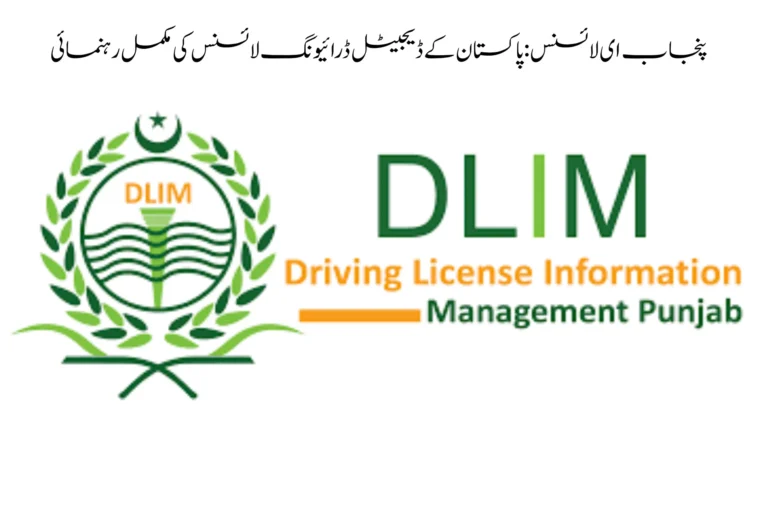 Punjab E-License : Complete Guide to Pakistan’s Digital Driving License punjab e license complete guide to pakistans digital driving license