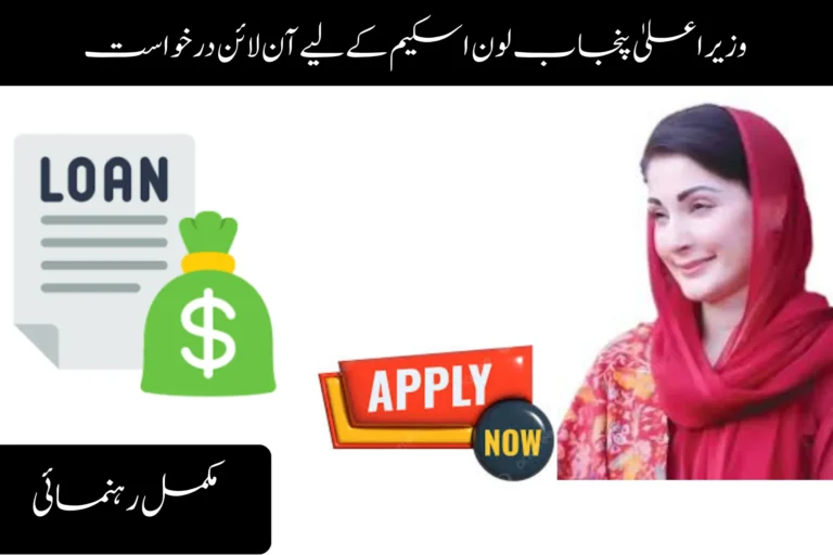 cm punjab loan scheme online apply complete guide
