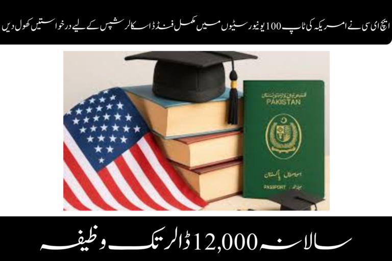 ویمن ایمپاورمنٹ اسکیم پاکستان (1)
