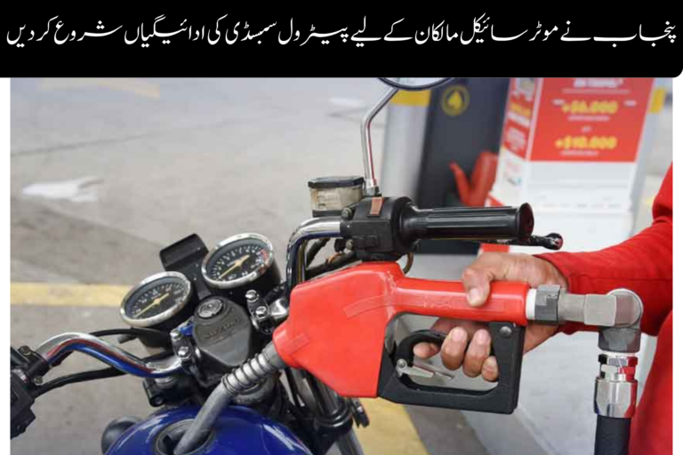 Punjab Begins Petrol Subsidy Payments for Motorcycle Owners ویمن ایمپاورمنٹ اسکیم پاکستان (2)