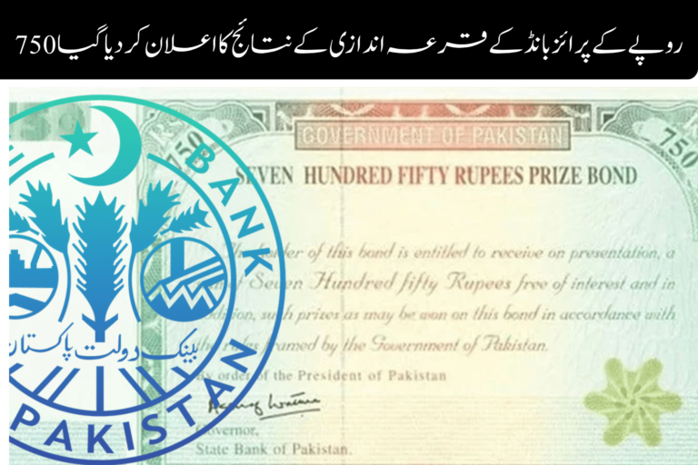 ویمن ایمپاورمنٹ اسکیم پاکستان