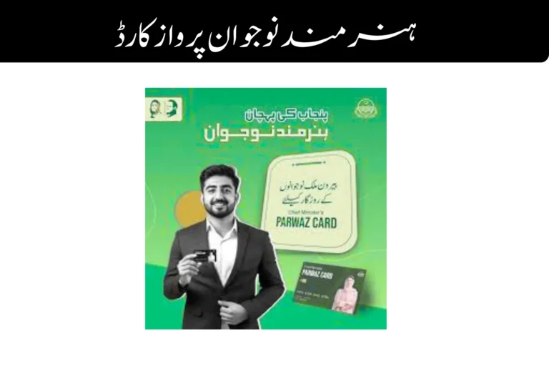 Hunarmand Naujawan Parwaaz Card 2026 : Interest-Free Loan Scheme for Overseas Employment in Punjab hunarmand naujawan parwaaz card interest free loan scheme for overseas employment in punjab