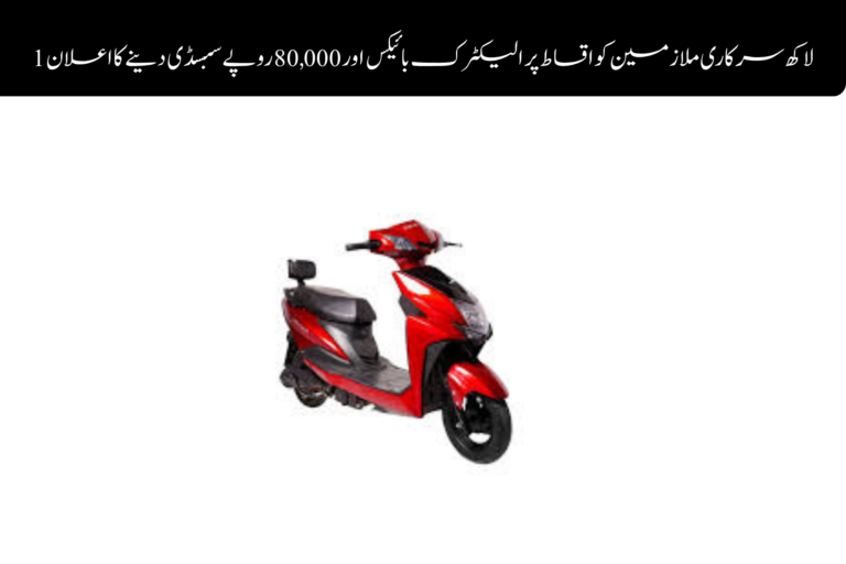 ویمن ایمپاورمنٹ اسکیم پاکستان